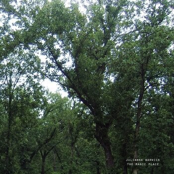 Vinylplade Julianna Barwick - The Magic Place (Reissue) (LP) - 1