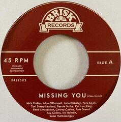 Vinüülplaat Ray Collins & Friends - Missing You (LP)