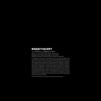 LP ploča Sweetheart - The Process Of Making Us Well (LP) - 1