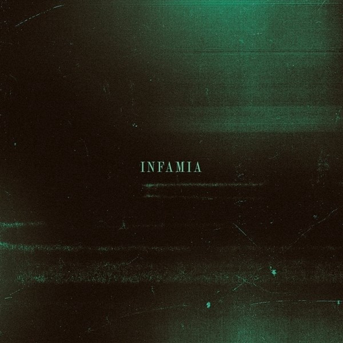 Vinyl Record Teenage Bubblegums - Infamia (LP)