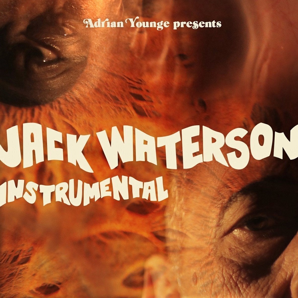 Disque vinyle Adrian Younge - Jack Waterston Instrumentals (LP)