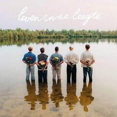 Disc de vinil Hiigo - Leven In De Leegte (Pink Coloured) (LP)