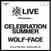 Schallplatte Celebration Summer & Wolf-Face - DCxPC Live Volume 42: Live at The Fest - Gainesville, FL (LP)