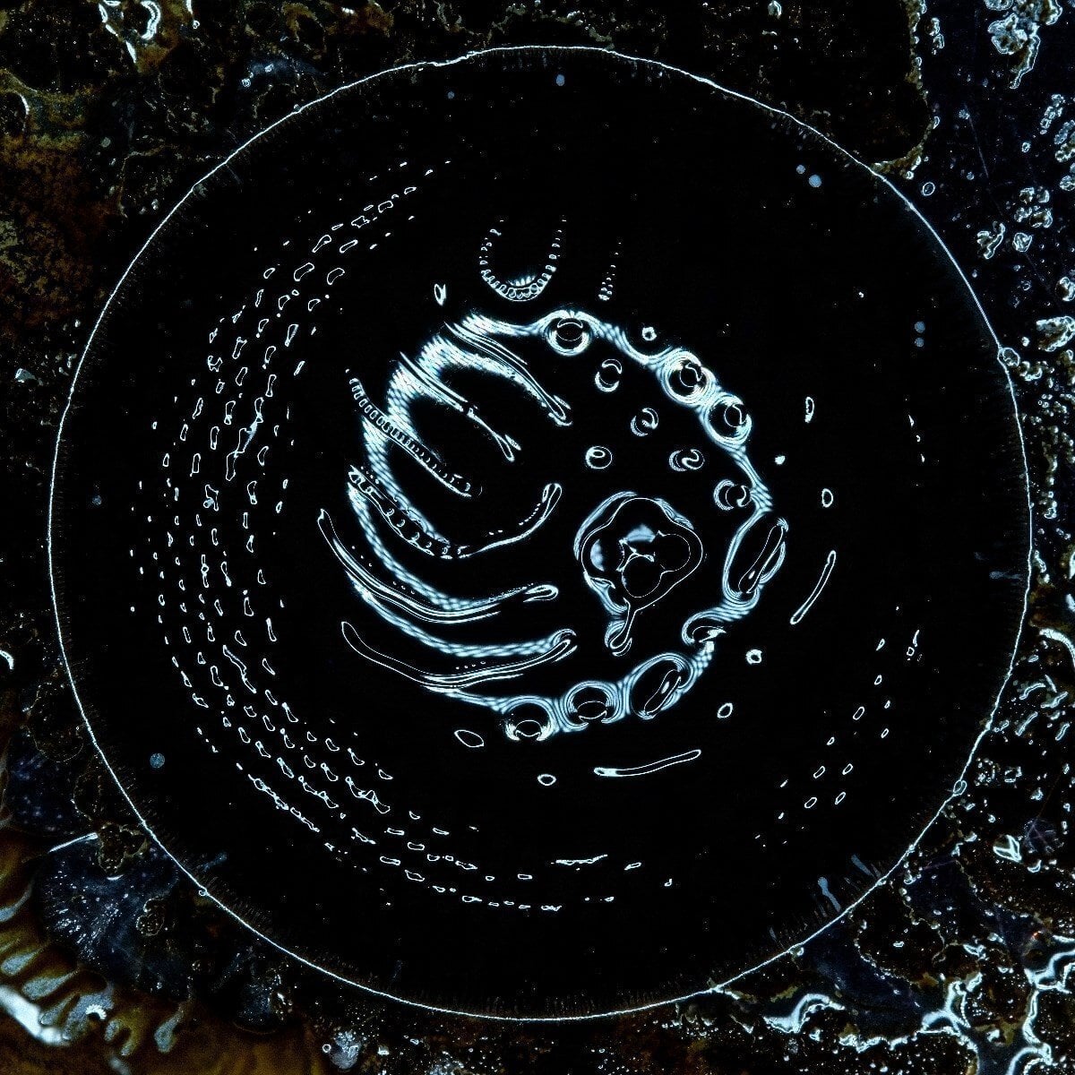 Schallplatte Stonus - Stonus (LP)
