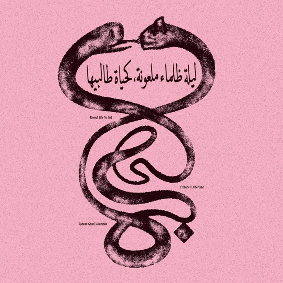 Hanglemez Radwan Moumneh & Frédéric D. Oberland - Eternal Life No End ليلة ظلماء ملعونة، كحياة طالبيها (LP)