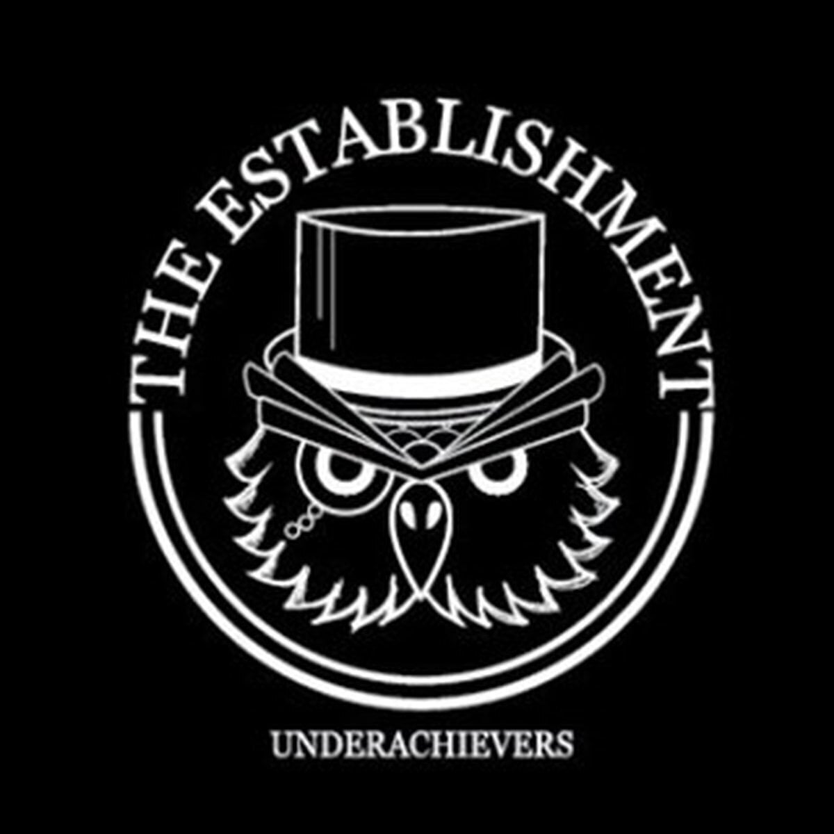 Vinylplate The Establishment - Underachievers (LP)