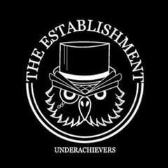 Vinylplate The Establishment - Underachievers (LP)