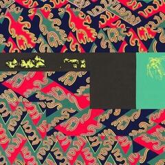 Disc de vinil Joshua Abrams Natural Information Society & Evan Parker - Descension (2 LP)