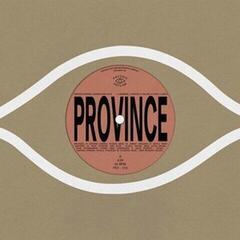 Vinyl Record Bartees Strange & Eric Slick & Ohmme & Anjimile - Province / Ever New (7")
