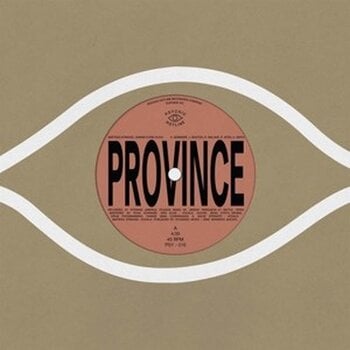 Hanglemez Bartees Strange & Eric Slick & Ohmme & Anjimile - Province / Ever New (7") - 1
