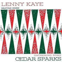 Schallplatte Lenny Kaye - Holiday Split (LP)