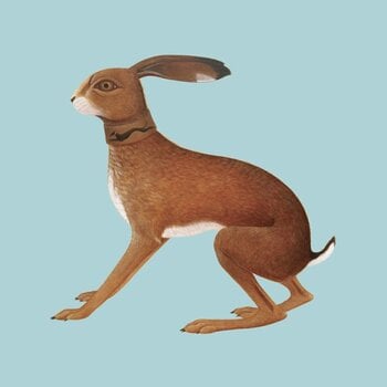 LP ploča Vashti Bunyan - Lookaftering (Limited Edition) (2 LP) - 1