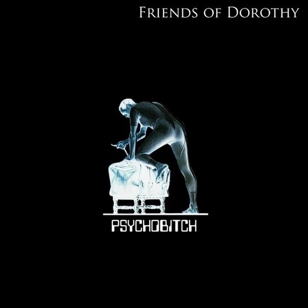 Vinylplade Friends Of Dorothy - Psychobitch (LP)