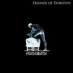 Vinylplade Friends Of Dorothy - Psychobitch (LP)