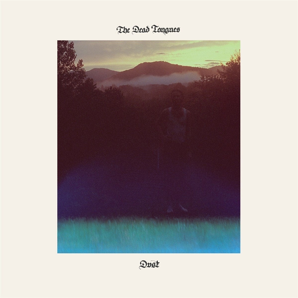 LP The Dead Tongues - Dust (LP)