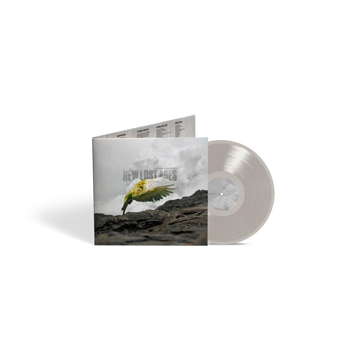 Schallplatte Tyler Ramsey - New Lost Ages (Grey Coloured) (LP)