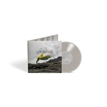 Schallplatte Tyler Ramsey - New Lost Ages (Grey Coloured) (LP) - 1