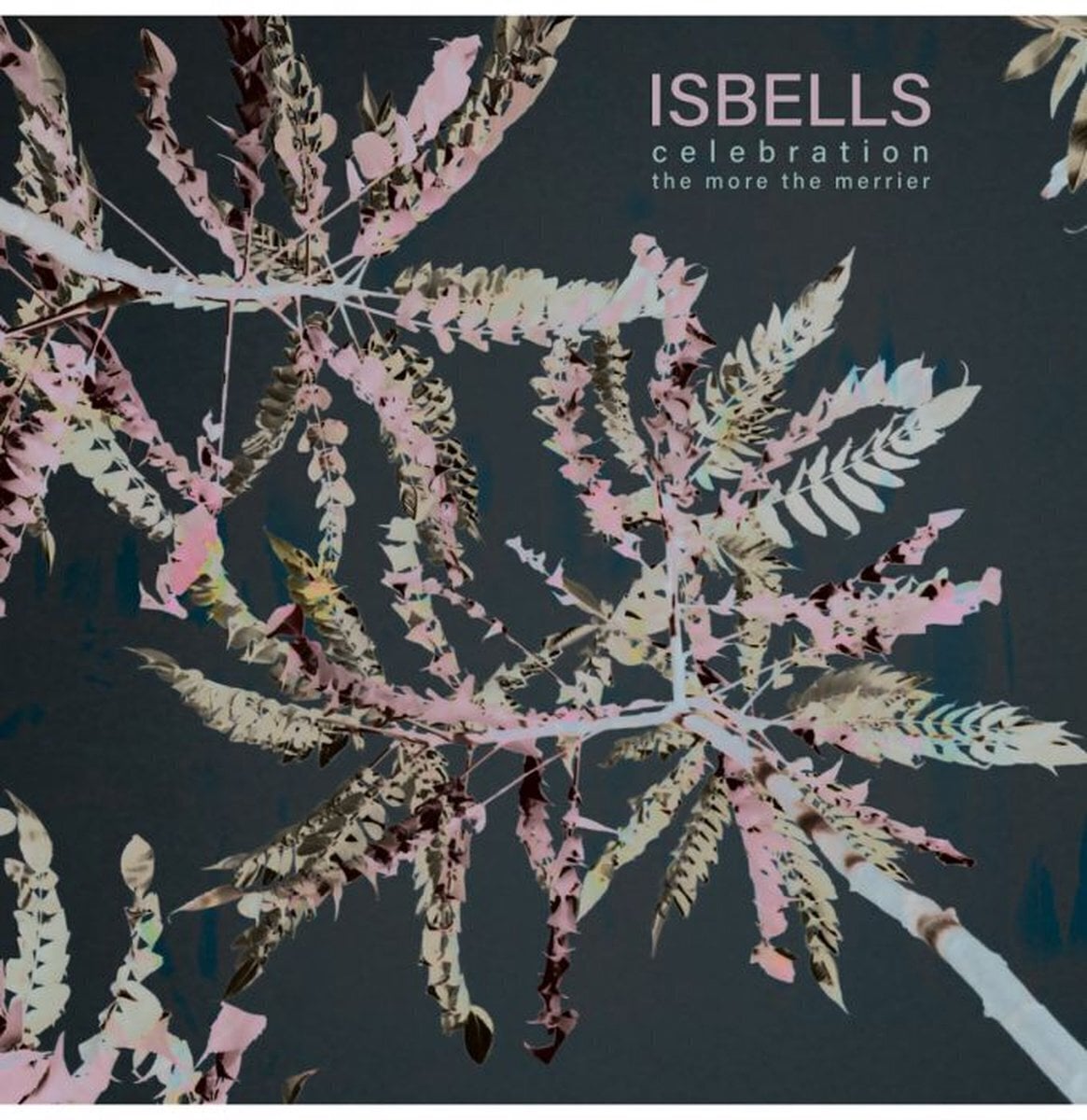 Вінілові платівки Isbells - Celebration / The More The Merrier (7")