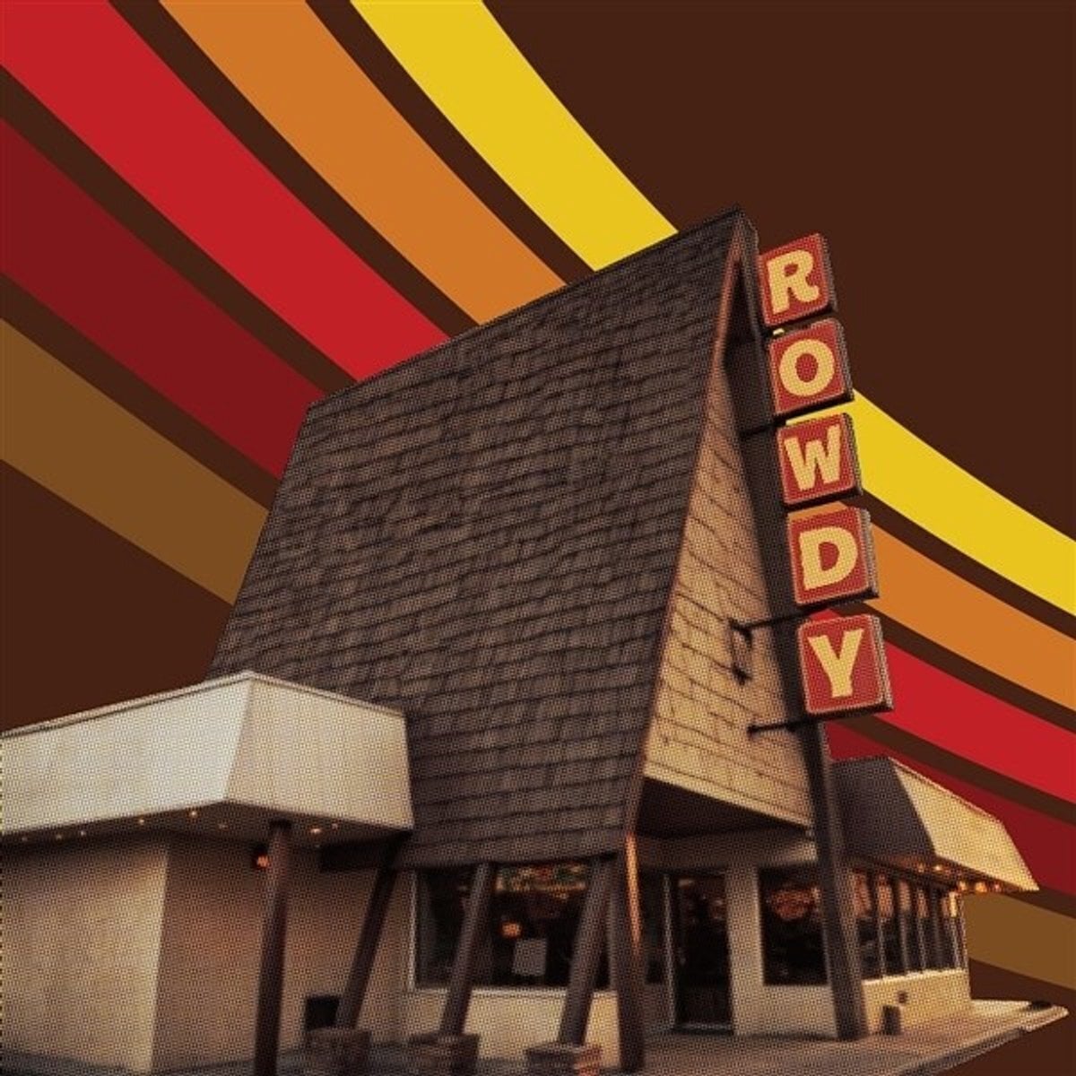Disco de vinil Hank Williams Jr. - Rowdy (LP)