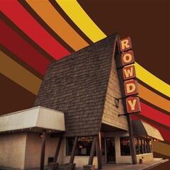 Disco de vinil Hank Williams Jr. - Rowdy (LP)