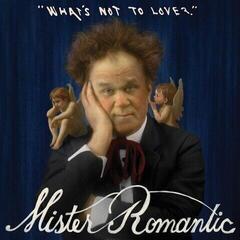 Schallplatte Mister Romantic - What's Not To Love? (Limited Edition) (Blue Marble Coloured) (LP)