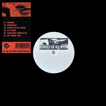 Disque vinyle Camy Huot - Echoes In My Room (Limited Edition) (EP) - 1