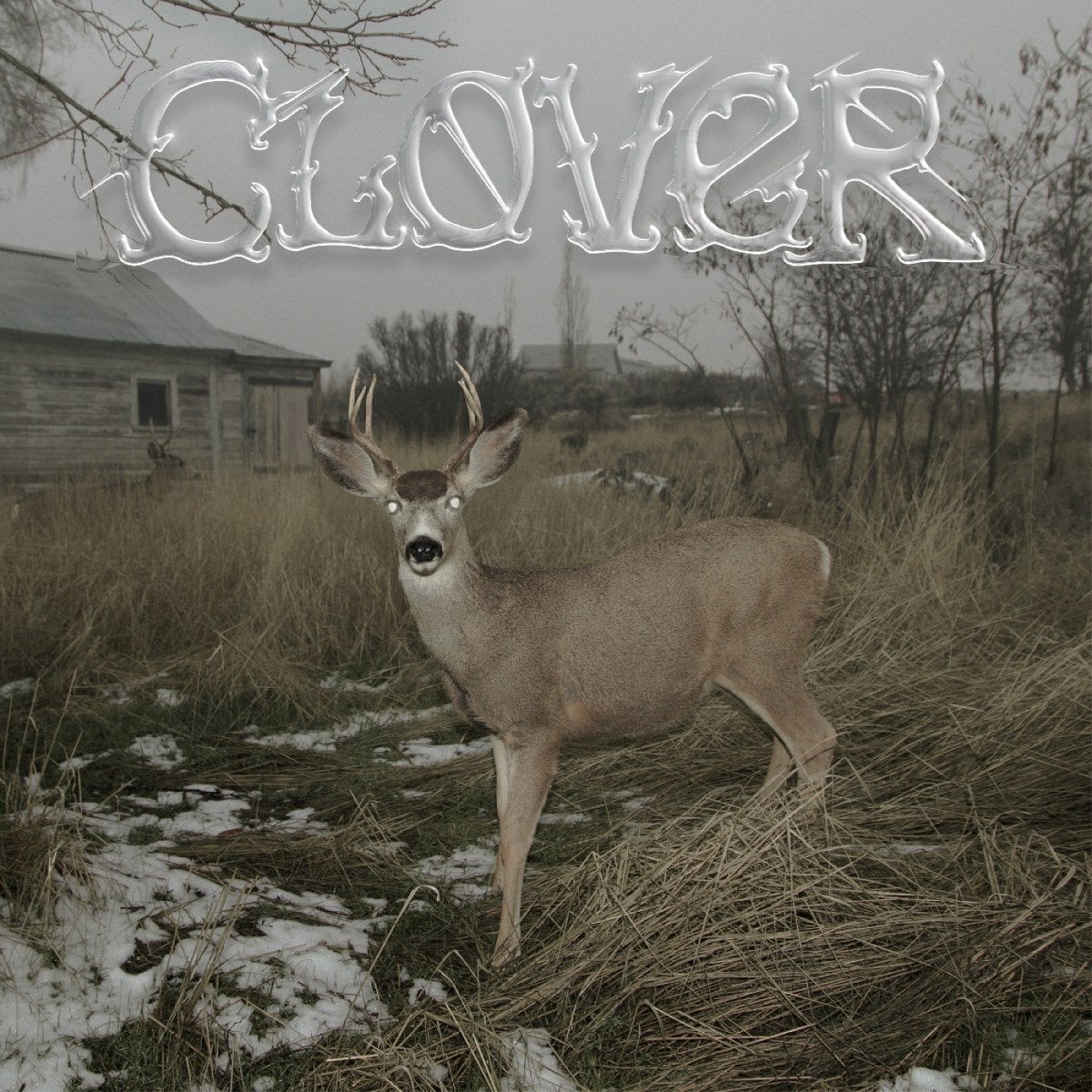 Schallplatte Sleeper's Bell - Clover (LP)