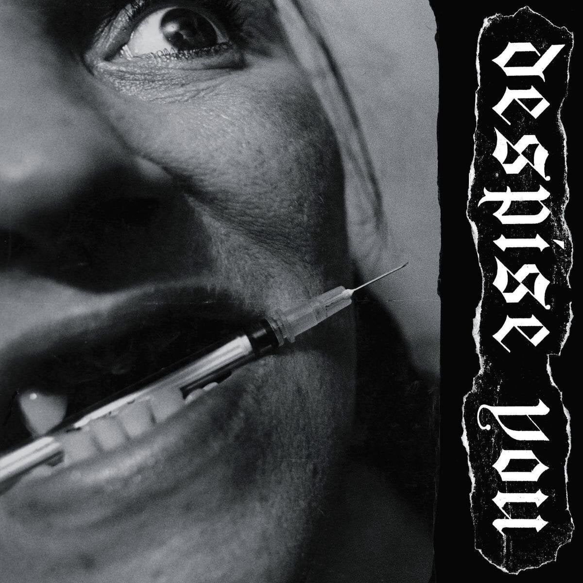 Disco de vinil Despise You - West Side Horizons (Reissue) (LP)