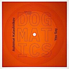 Schallplatte Dogmatics - 7 Inch Flexi Record (LP)