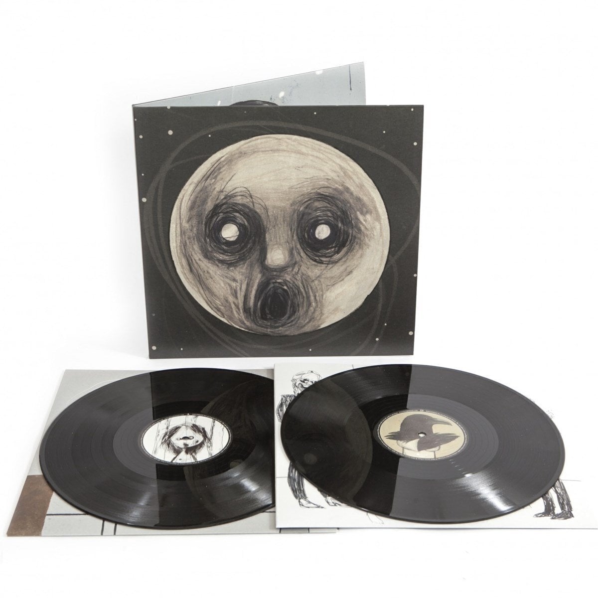 Vinyl Record Steven Wilson - The Raven That Refused To Sing (Reissue) (2 LP)