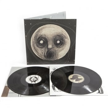 Vinyl Record Steven Wilson - The Raven That Refused To Sing (Reissue) (2 LP) - 1