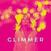 Schallplatte The Dave Foster Band - Glimmer (LP)