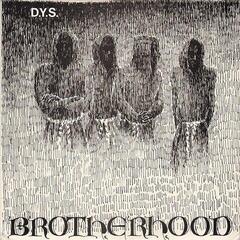 Грамофонна плоча DYS - Brotherhood (Blood Red Coloured) (LP)