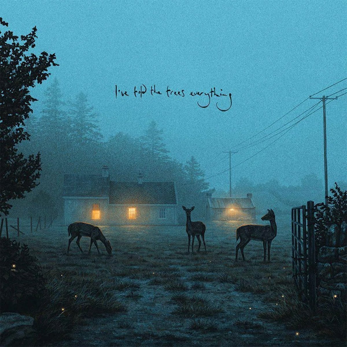 Schallplatte Dermot Kennedy - I've Told The Trees Everything (EP)
