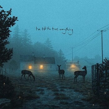 Schallplatte Dermot Kennedy - I've Told The Trees Everything (EP) - 1