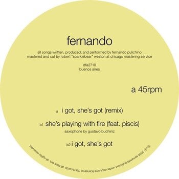 LP Fernando Pulichino - I Got, She's Got (LP) - 1