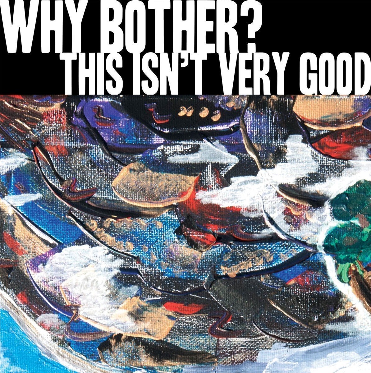 Vinyl Record Why Bother? - This Isn't Very Good (LP)