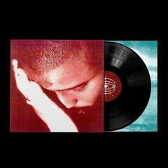 Disque vinyle Nourished By Time - The Passionate Ones (LP)