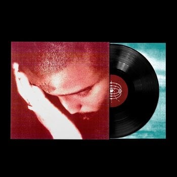 Disque vinyle Nourished By Time - The Passionate Ones (LP) - 1
