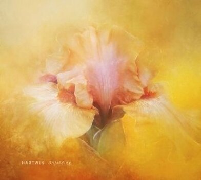 Schallplatte Hartwin Dhoore - Unfolding (LP) - 1