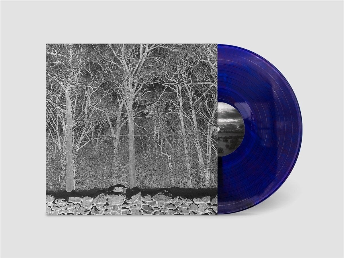 LP Pile - Sunshine and Balance Beams (Transparent Purple Coloured) (LP)