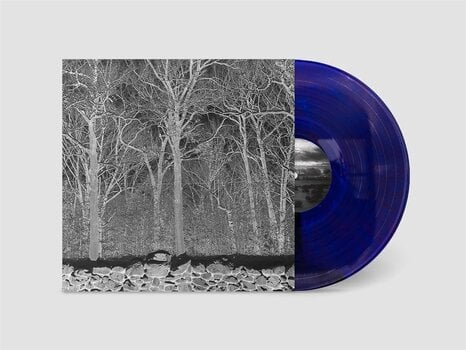 LP Pile - Sunshine and Balance Beams (Transparent Purple Coloured) (LP) - 1