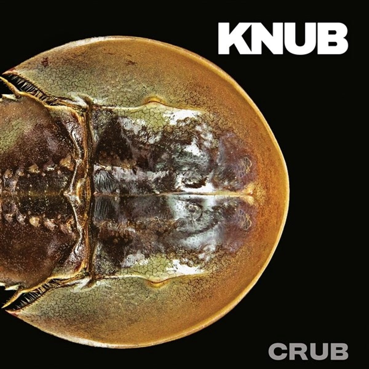 Disque vinyle Knub - Crub (LP)