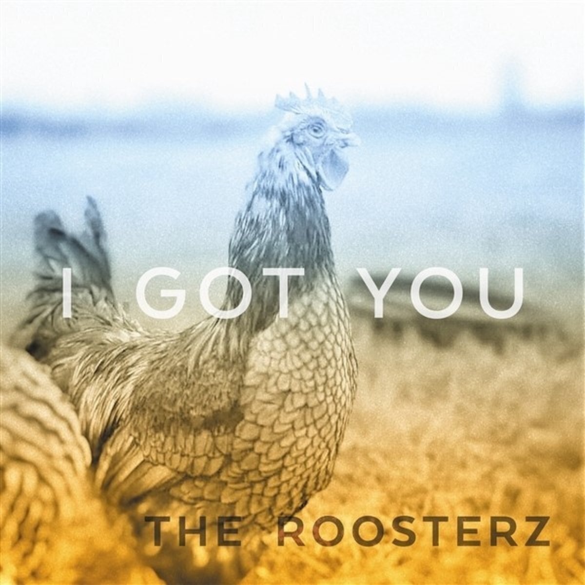 Schallplatte The Roosterz - I Got You (LP)