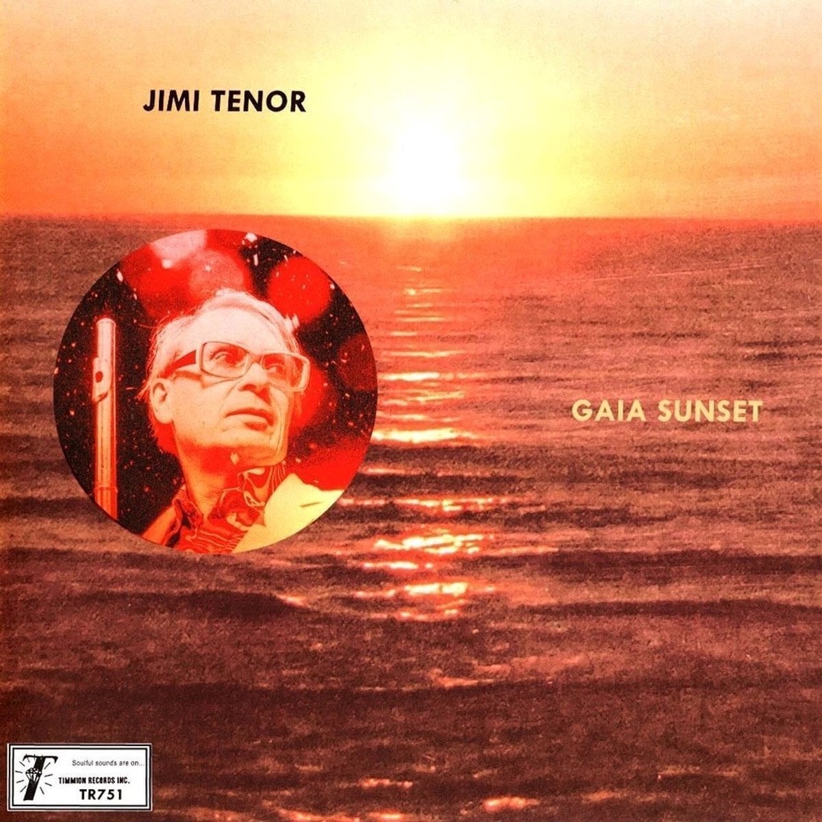 Vinylplate Jimi Tenor & Cold Diamond & Mink - Gaia Sunset (Limited Indie Edition) (LP)