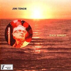 Vinylplate Jimi Tenor & Cold Diamond & Mink - Gaia Sunset (Limited Indie Edition) (LP)