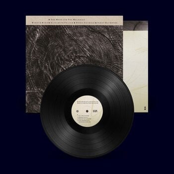 Schallplatte Cocteau Twins - The Moon & The Melodies (Remastered) (LP) - 1