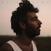 Vinyl Record Leif Vollebekk - Revelation (Limited Edition) (2 LP)