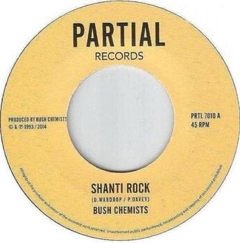 Vinyl Record The Bush Chemists - Shanti Rock (LP) - 1