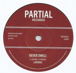Vinylplate Lariman - Never Dwell (LP)